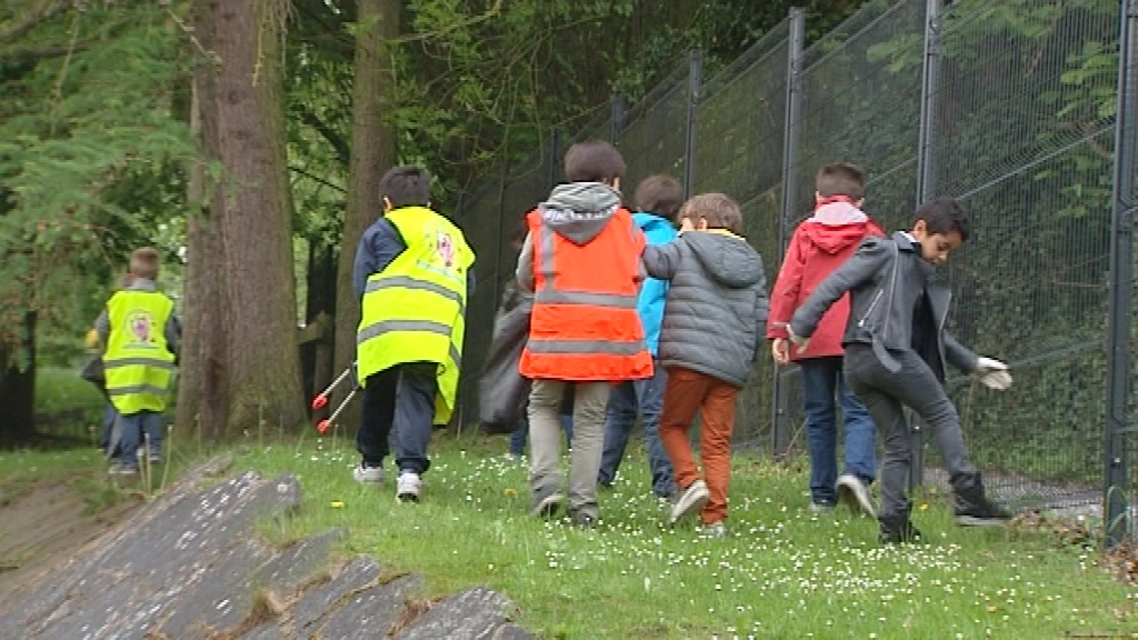 14043001 Chasse aux cochons