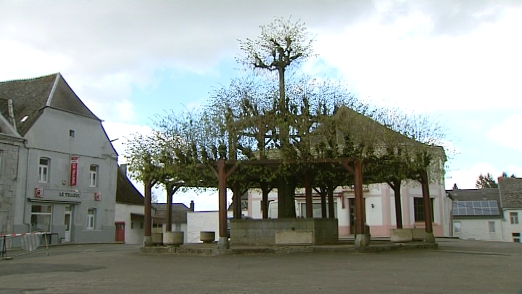 14041801 Sauvegarde du vieux tilleul de Macon