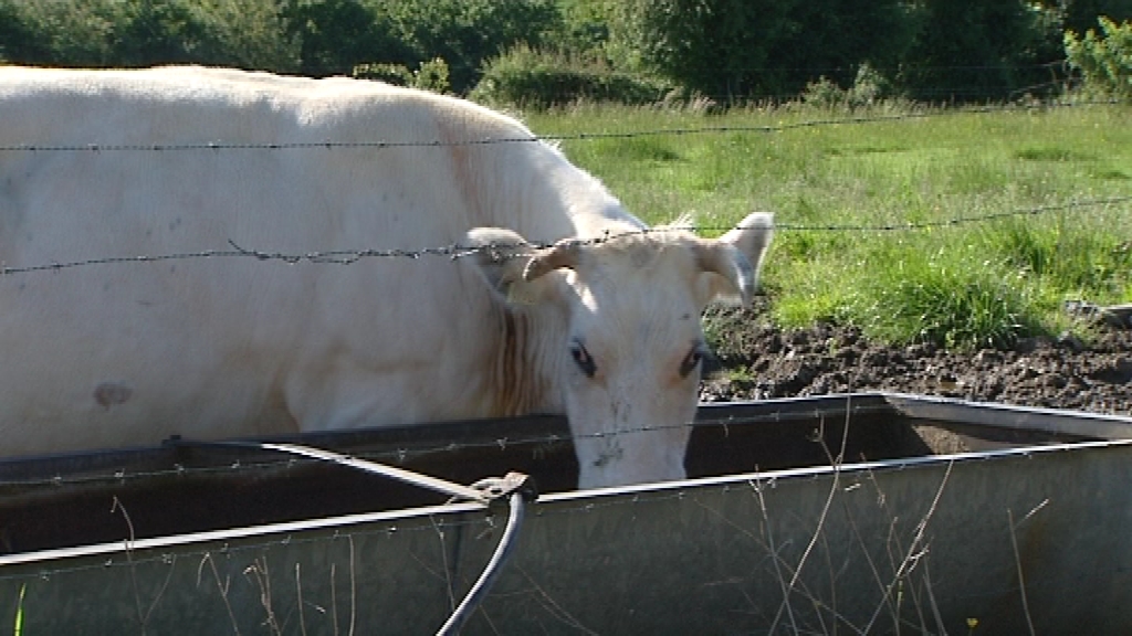 0 Dialogue Hainaut : Veille sanitaire dans les fermes