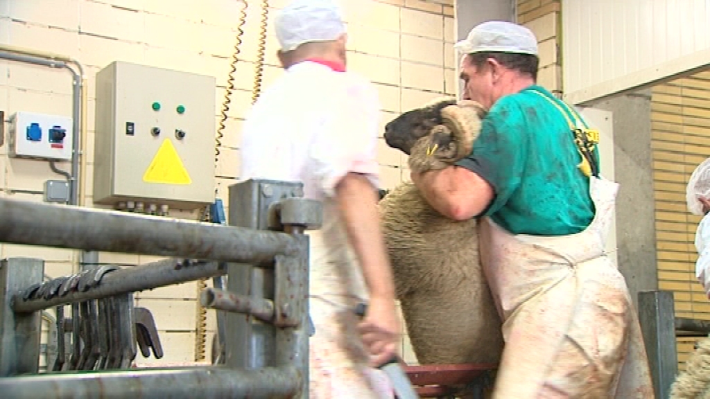 14100401 La Fête du Mouton s'est déroulée dans la sérénité à Charleroi