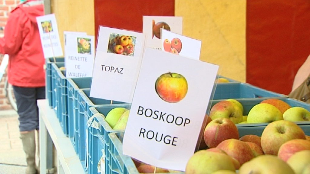 14100503 Fête de la pomme à Liberchies