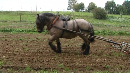 14090405 L'agriculture comme au siècle dernier