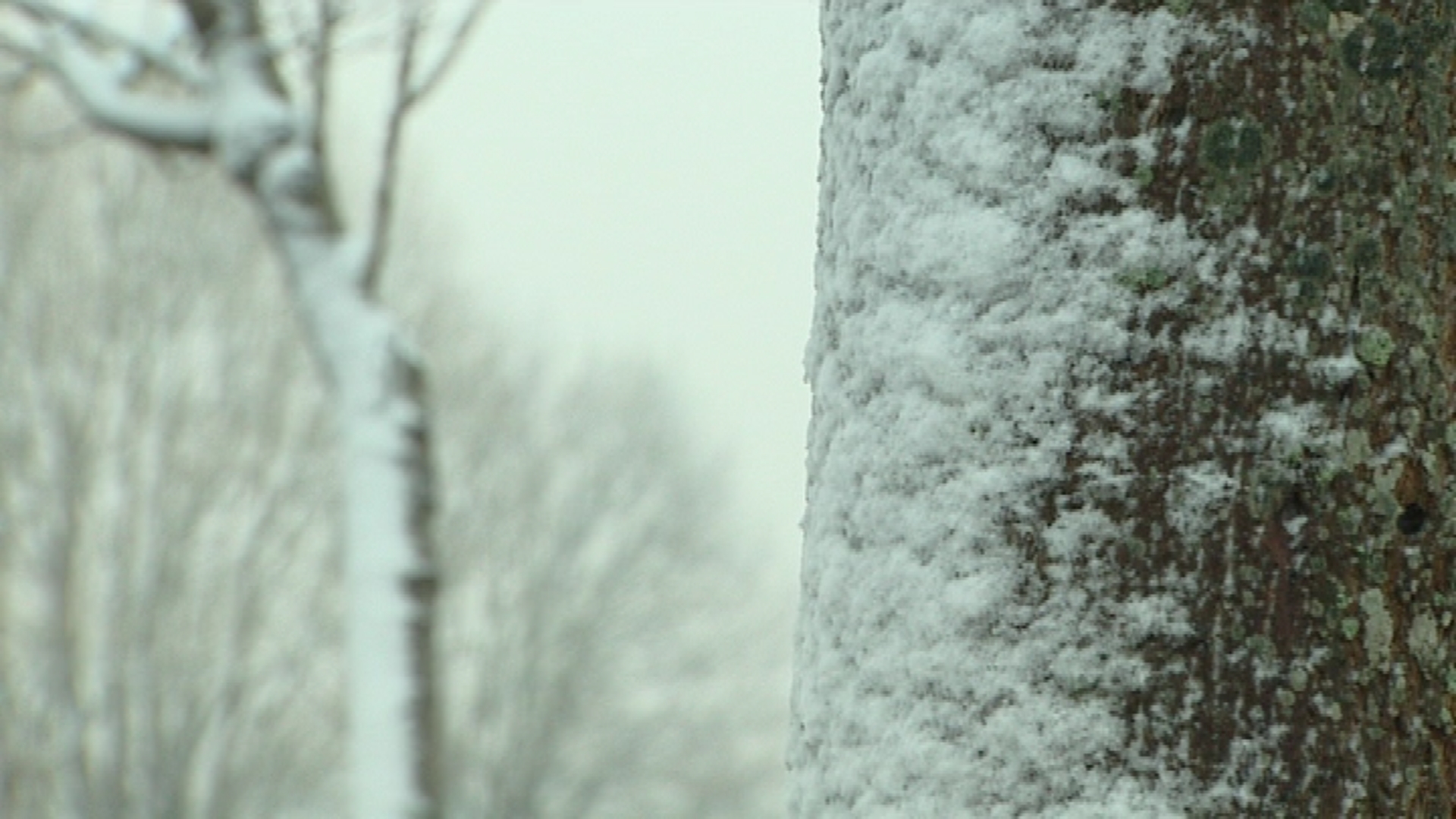 La neige a fait son apparition