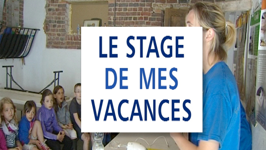 15041602 Le Stage de mes Vacances : les métiers de la ferme à Lobbes