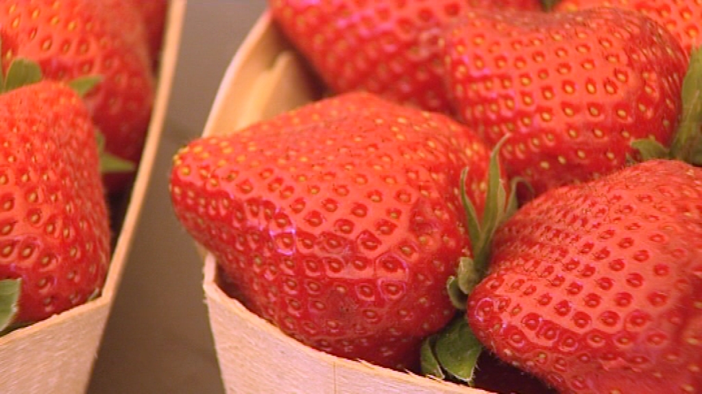 C'est la saison des fraises !