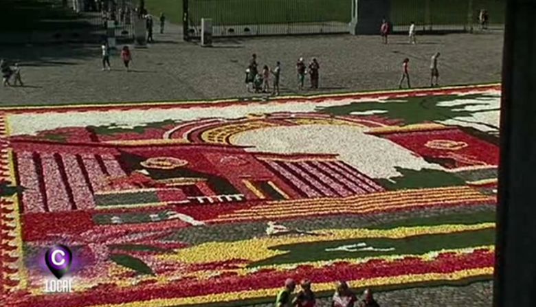 7ème Tapis de Fleurs au Château de Seneffe