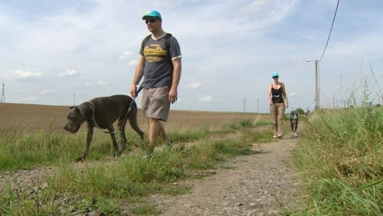 Pense-Bêtes : Dog & Run à Pont-à-Celles