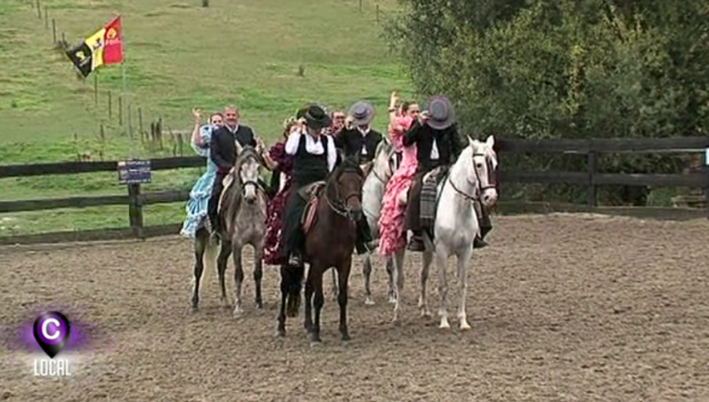 Féria annuelle aux Ecuries du Trèfle à Seneffe