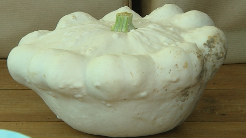 15091005 Les légumes anciens mis à l'honneur à Sautin