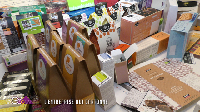 0 Ecoland, découverte : L'entreprise qui cartonne !
