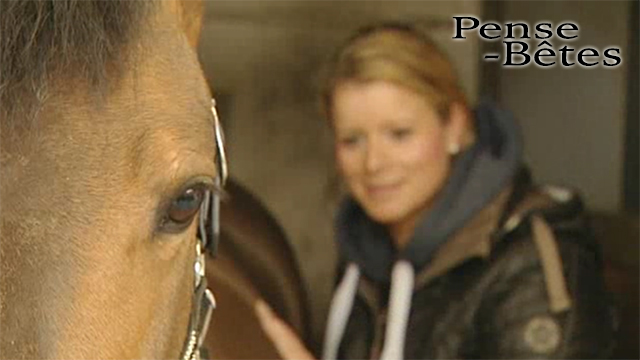 Pense-Bêtes : les boiteries du cheval