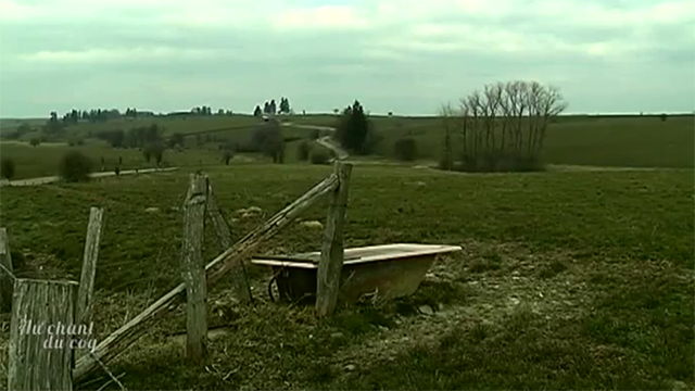 Au chant du coq : Ferme d'élevage de BBB à Gouvy