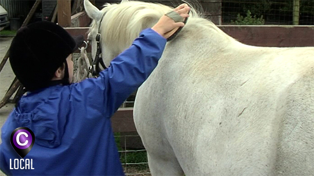 0 Stage d'équitation au Poney Club de Gouy