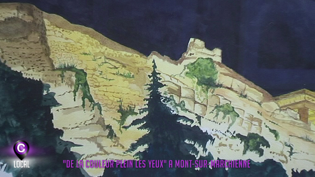 ''De la couleurs plein les yeux'' à Mont-sur-Marchienne