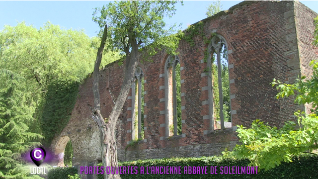 Découverte de l'ancienne abbaye de Soleilmont