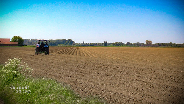 Au Chant du Coq: Le service de remplacement agricole