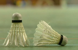 0 17/10/11 : Tournoi de badminton