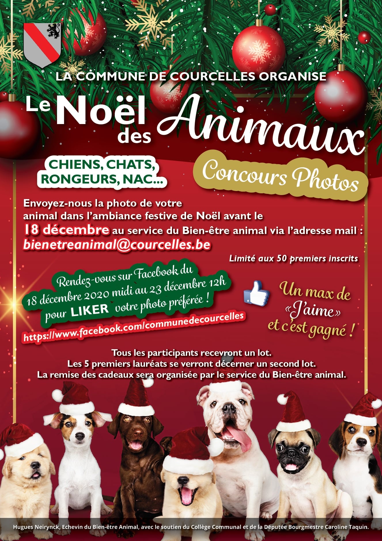 Courcelles : Le Noël des animaux revisité !