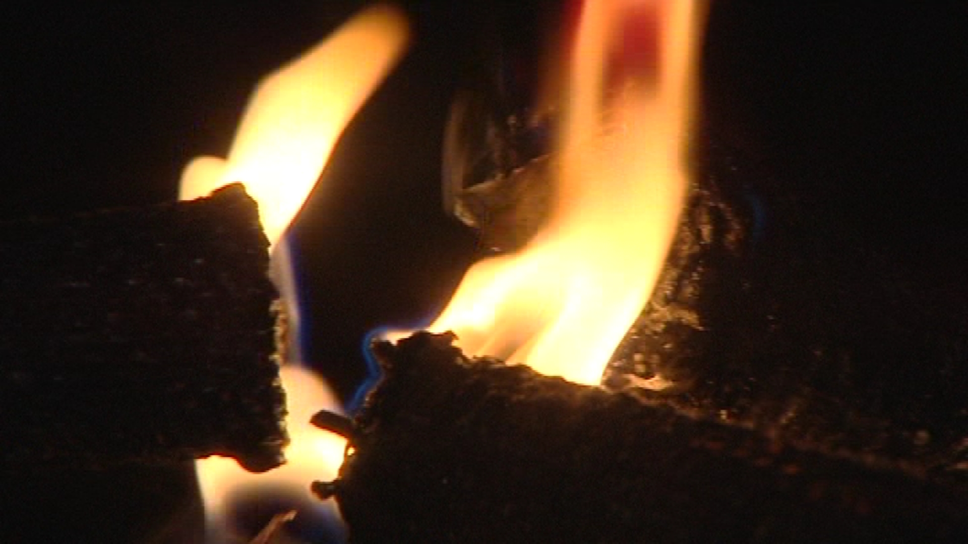 Ce vendredi 2 décembre, le Bois du Cazier organise une Marche aux flambeaux