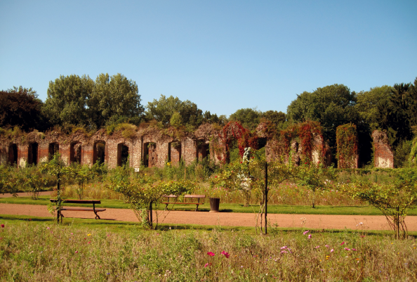 Les ruines du palais à Mariemont, un site européen à sauvegarder