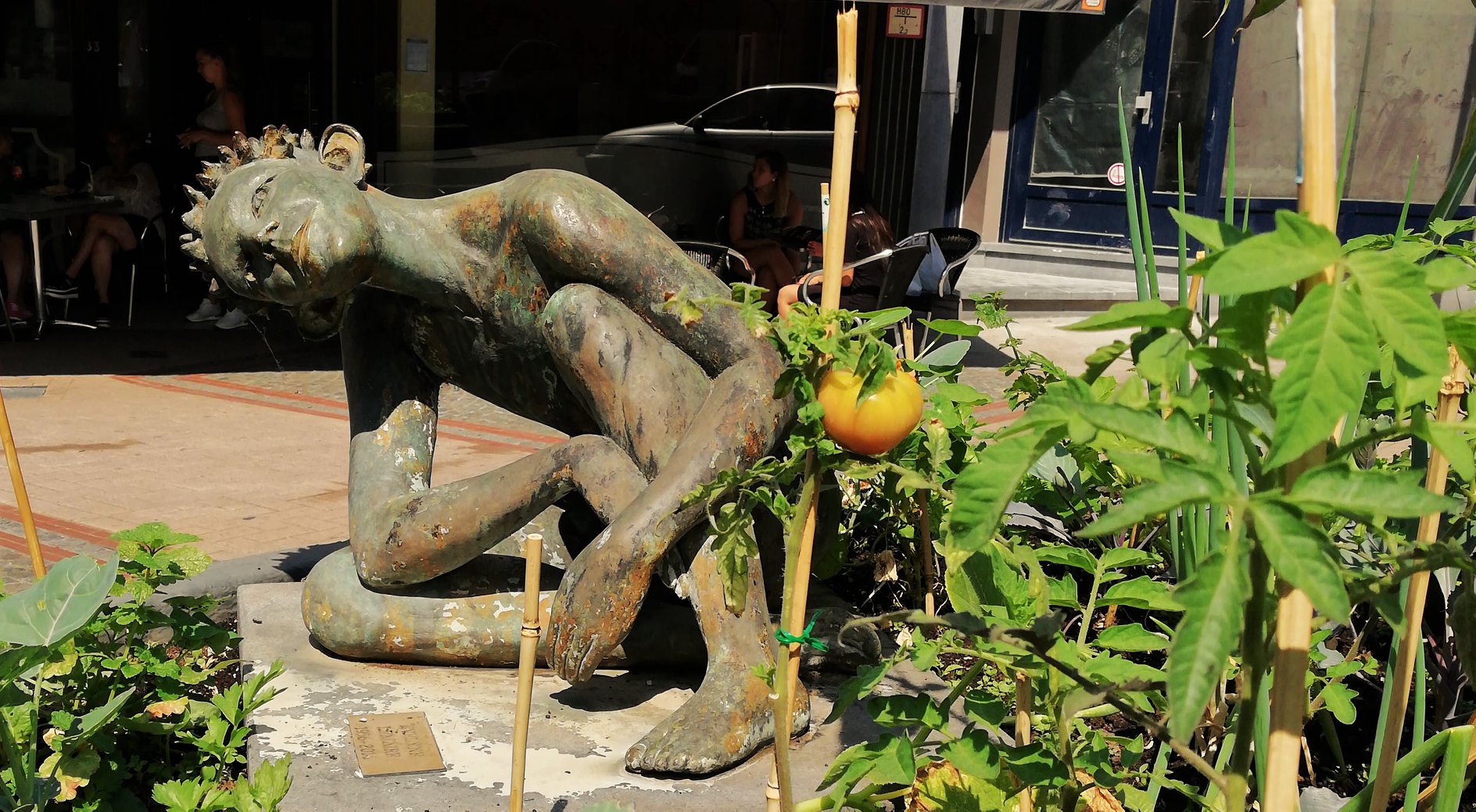 Châtelet : Des fruits et légumes accessibles gratuitement aux citoyens