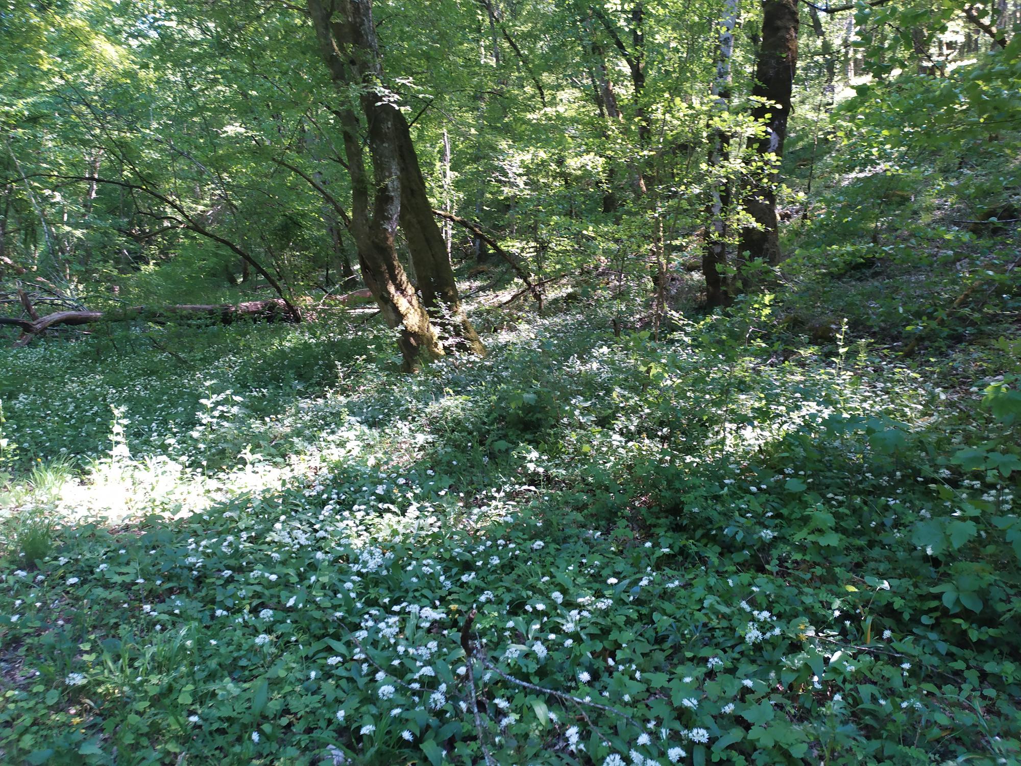 Le projet du Parc National Entre-Sambre-et-Meuse est bien lancé