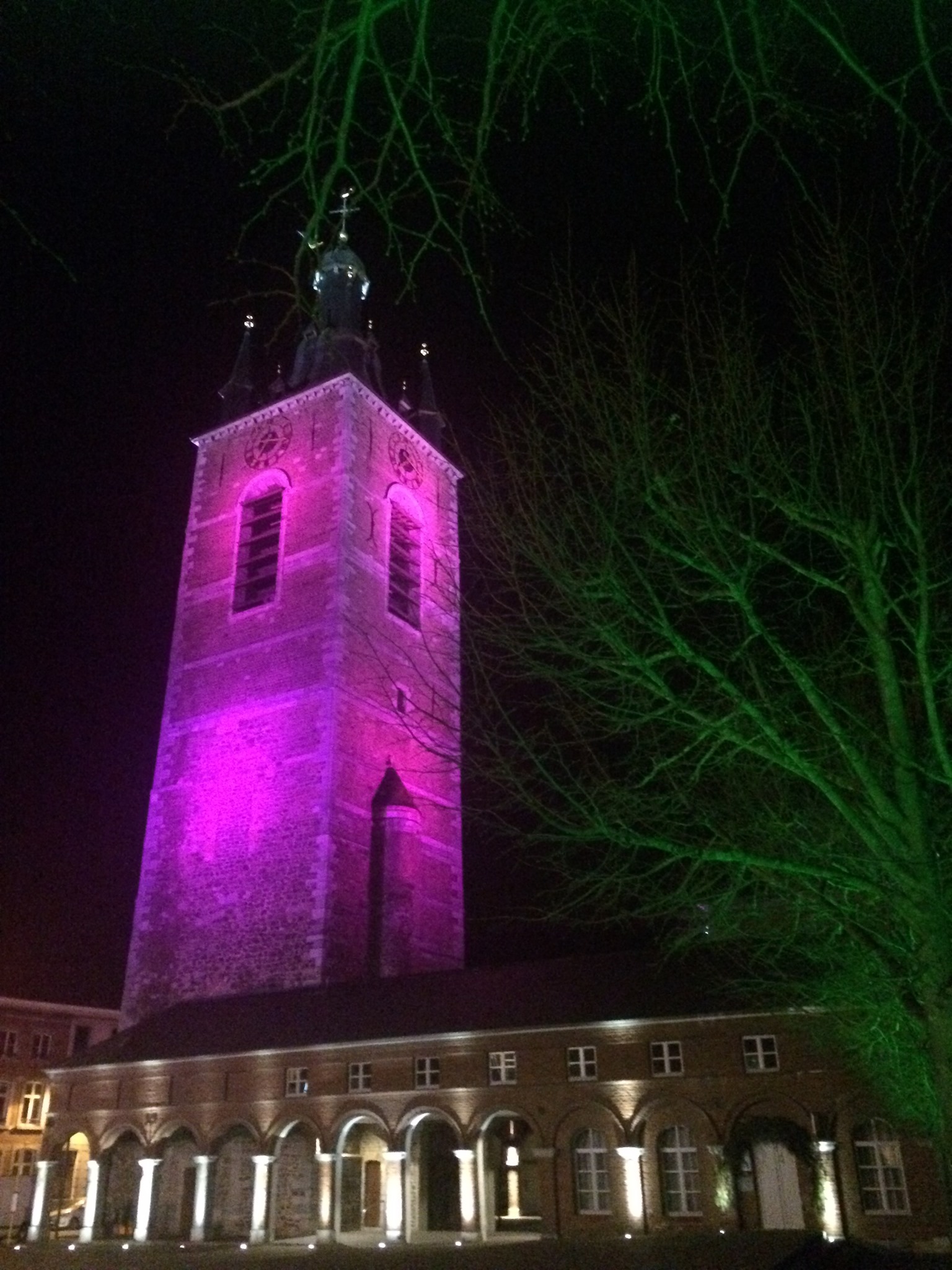 Thuin: le beffroi illuminé en rose pour l’opération Think Pink 