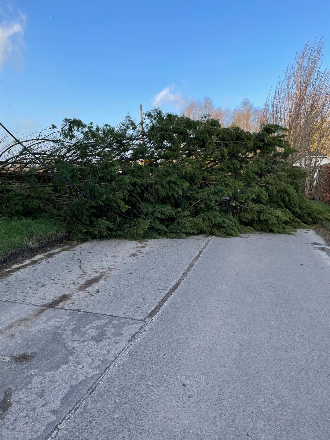 Tempête: des dégâts un peu partout dans la région