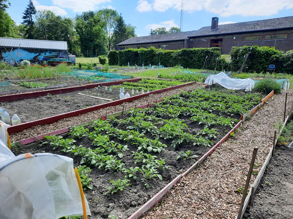 Des places se libèrent pour le jardin partagé à Châtelet