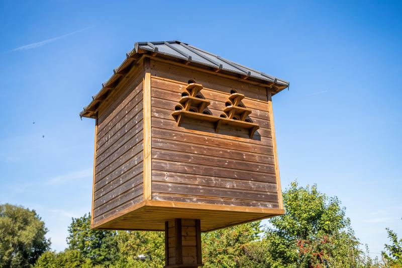 Courcelles installe un pigeonnier contraceptif 