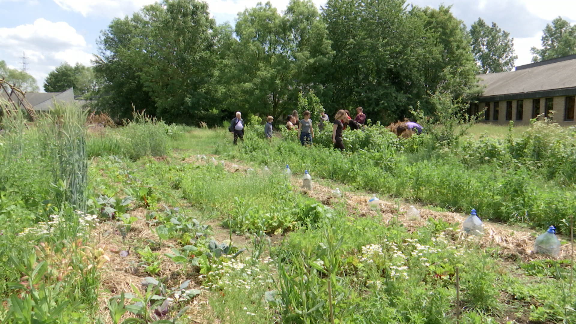 L'agriculture urbaine, une journée d'échanges et de découvertes à Charleroi