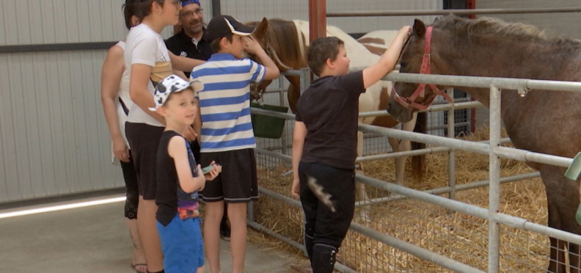 Programme des Stages vacances d'été 2022 à Courcelles