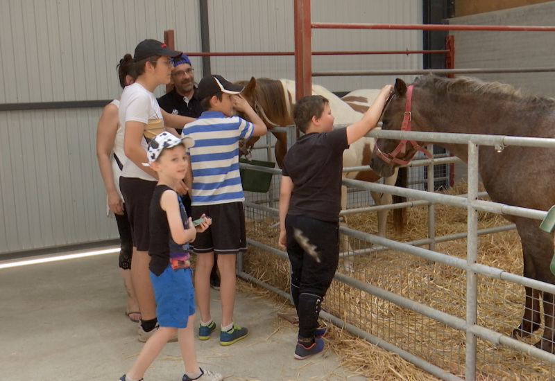 Le nouveau label « ferme pédagogique » vient de voir le jour ! 