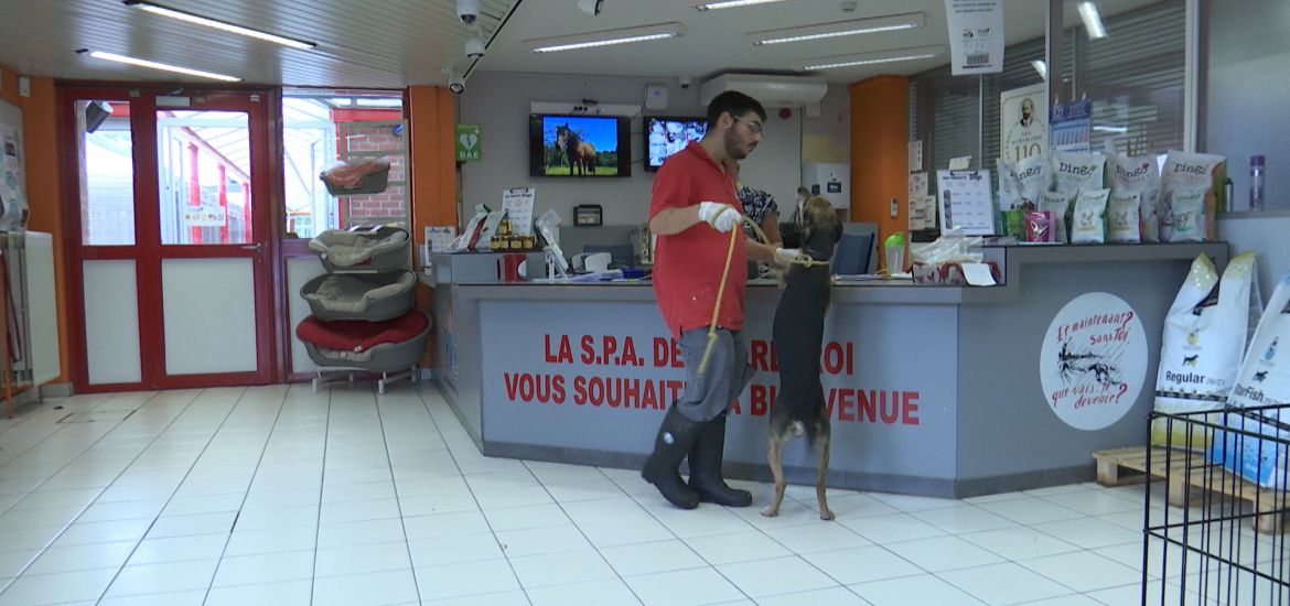 Prix de l'énergie: des aides pour la protection des animaux