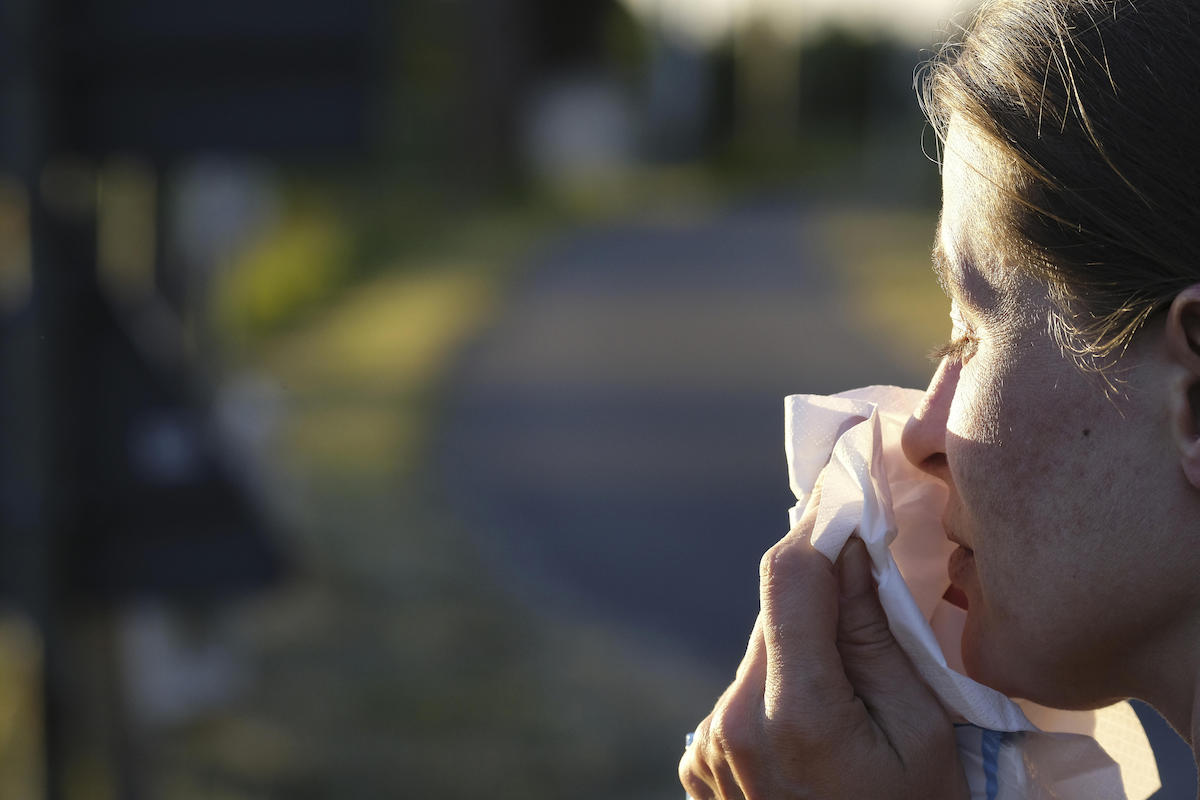 À vos mouchoirs, la saison des pollens de bouleau arrive