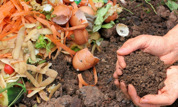 Erquelinnes: bientôt un compost de quartier ? 