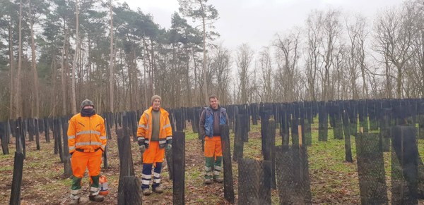 Villers-la-Ville: 1450 arbustes pour préserver les bois communaux