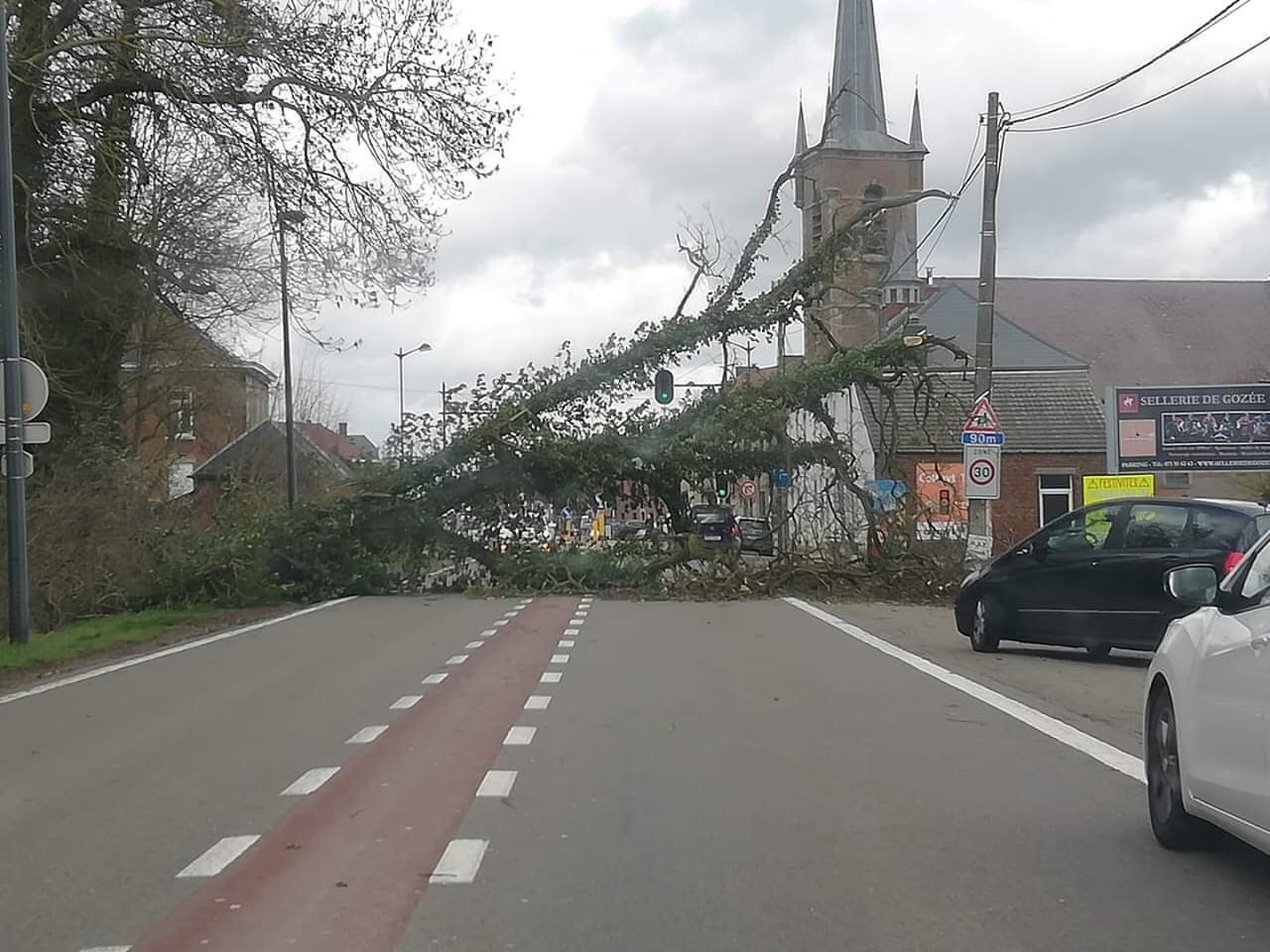 Un arbre tombé sur la route à Gozée