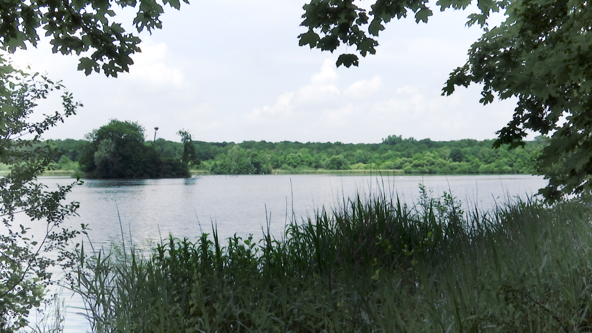 Aquascope de Virelles: 3 500 visiteurs, des Abeilles Noires et un nouveau couple de cigognes