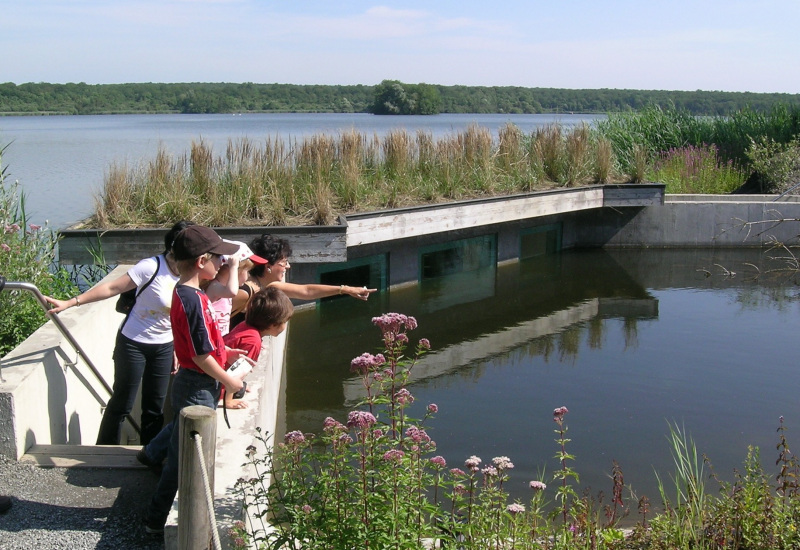 Un stage nature pour les enfants, à l'Aquascope de Virelles