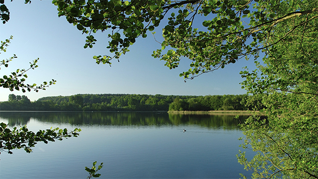 Une année caméléon pour le Lac de Bambois