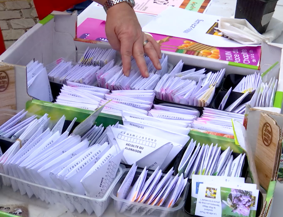 Thuin : la grainothèque accessible dès le 15 juin à la bibliothèque communale