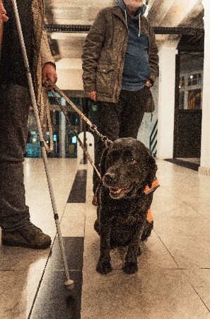 Charleroi: l’Eden met les artistes en situation de handicap à l’honneur