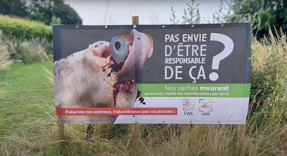 Aiseau-Presles: "Pas de canette dans mon assiette", une campagne de sensibilisation sur l'impact des déchets sur les animaux