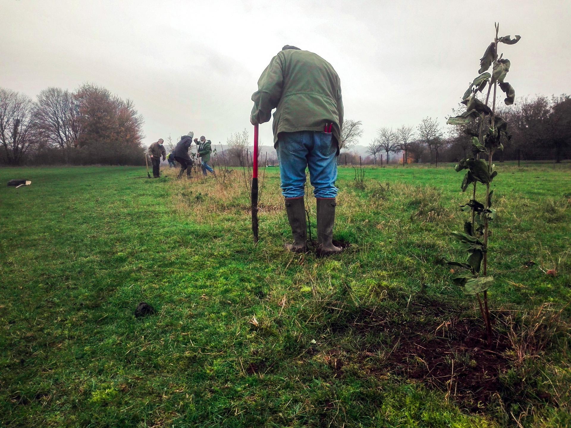 Châtelet : Ecolo se mobilise pour planter des haies