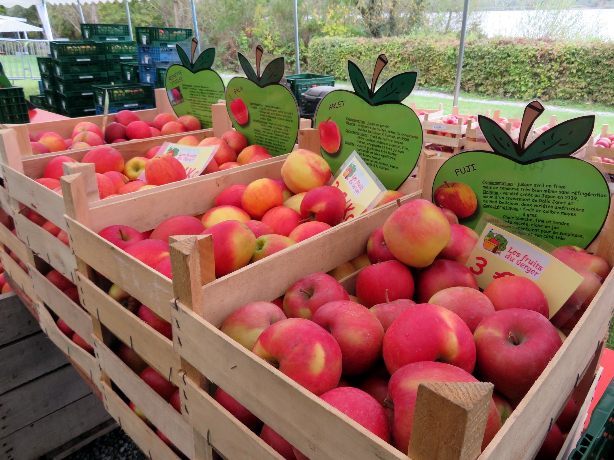 Chimay : la foire aux pommes est de retour à l'Aquascope de Virelles