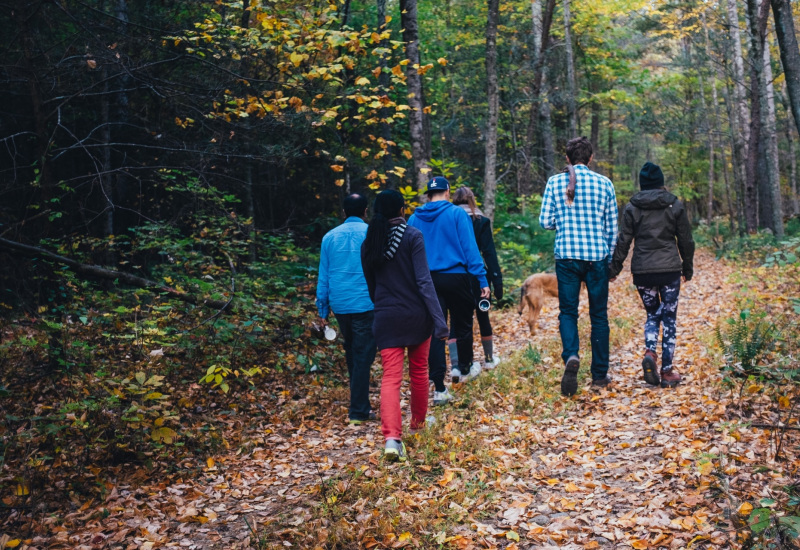 Natagora vous emmène en balade pour une journée de la nature à Viesville ce dimanche 22 octobre