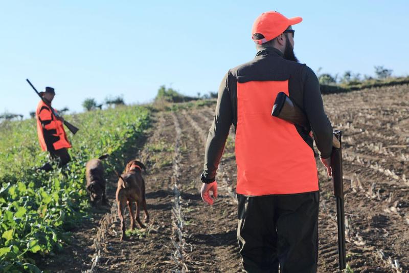 Bientôt une app pour prévenir de la présence des chasseurs en forêt ? 