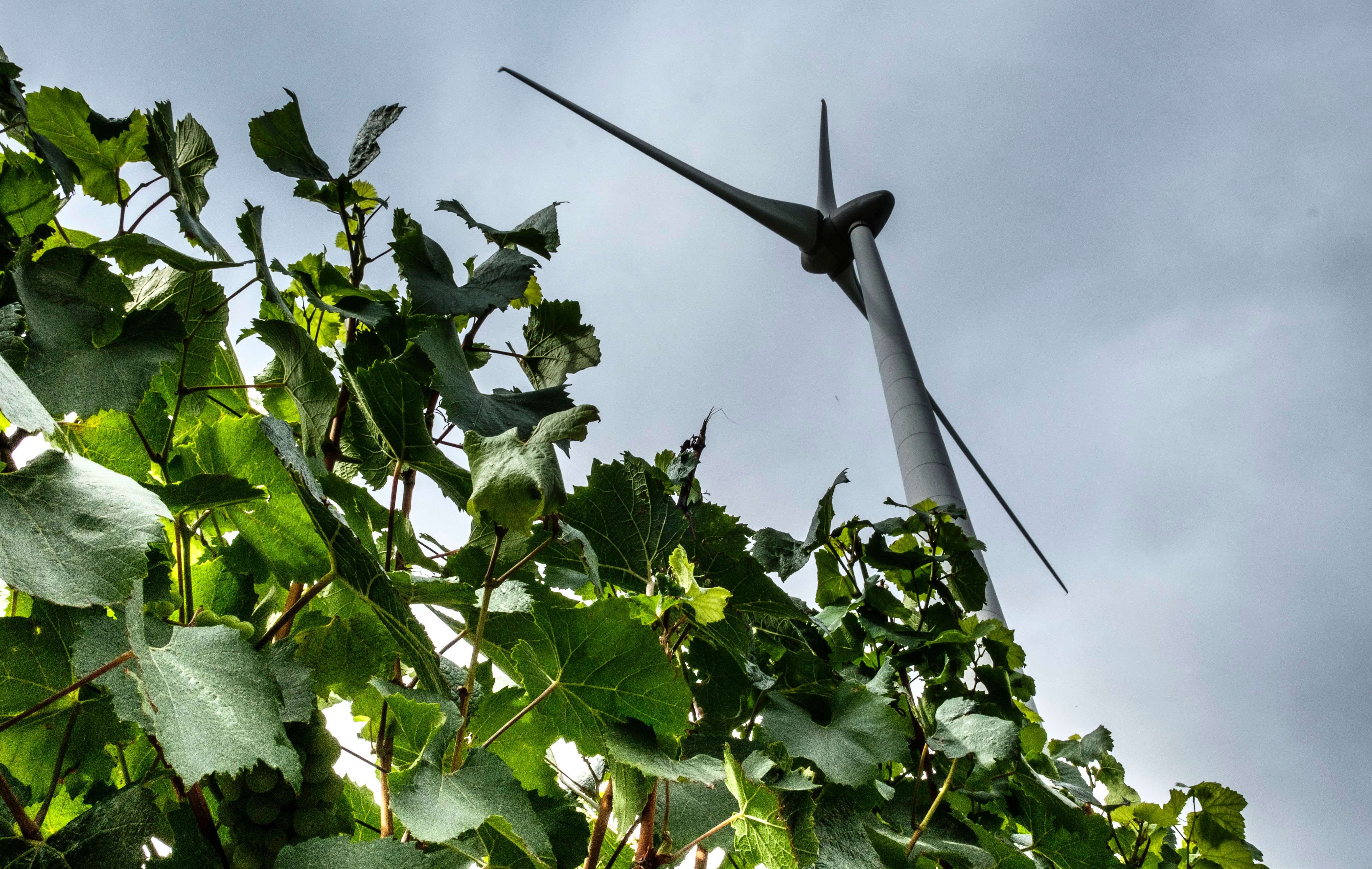 Nouveau projet éolien entre Pont-à-Celles et Les Bons Villers (UPDATE)