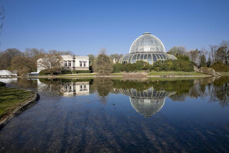 Du 15 avril au 8 mai, visitez les serres de Laeken ! 